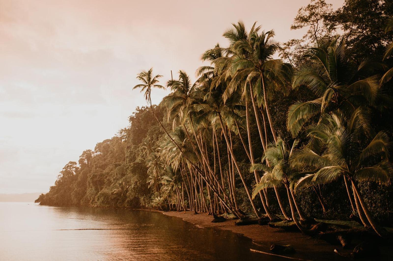Saladero Ecolodge Esquinas エクステリア 写真