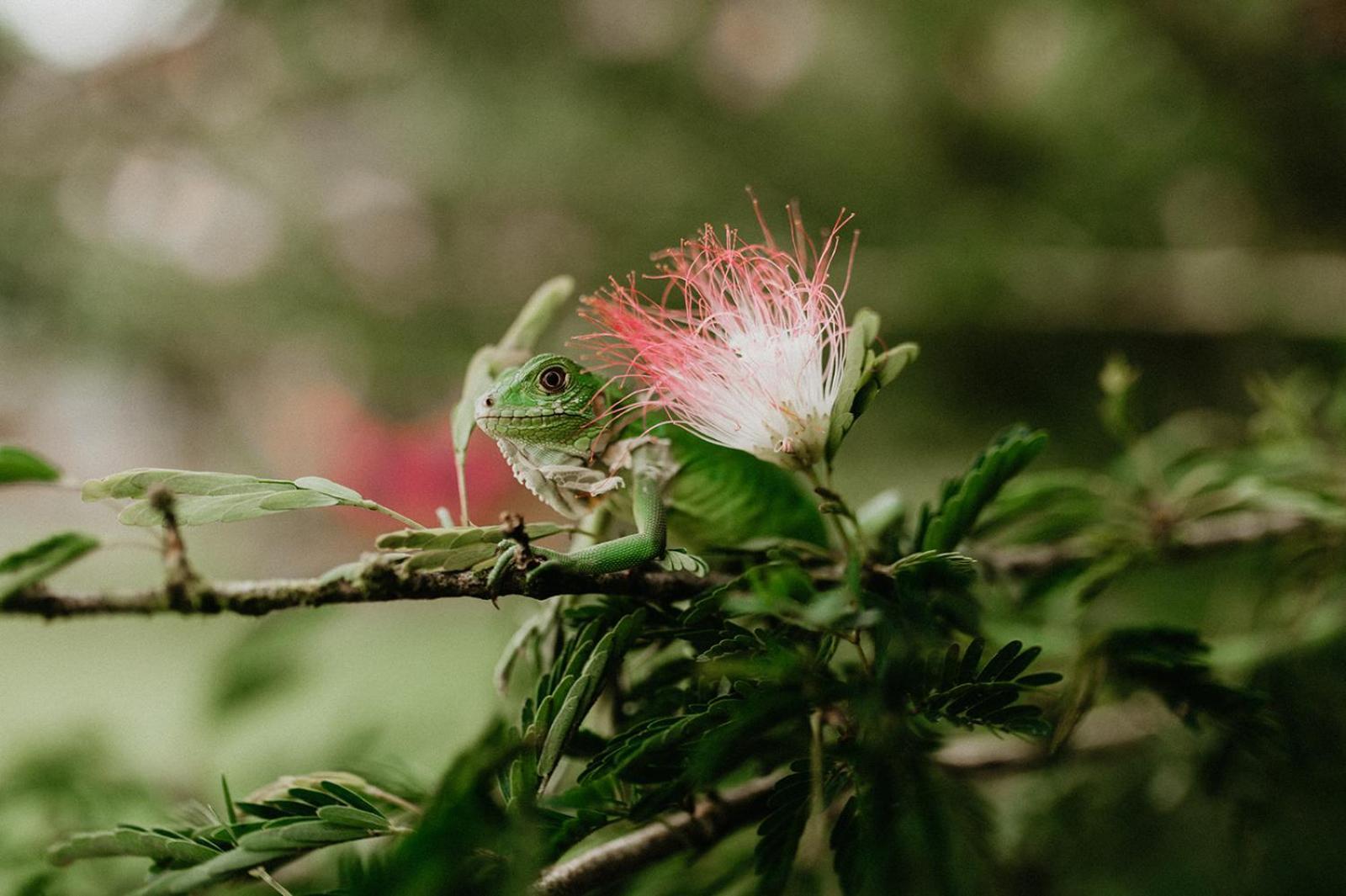 Saladero Ecolodge Esquinas エクステリア 写真