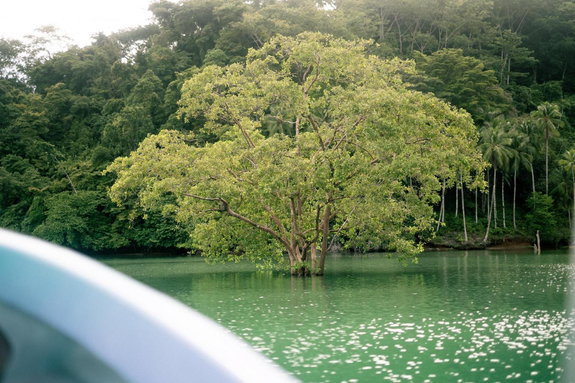 Saladero Ecolodge Esquinas エクステリア 写真