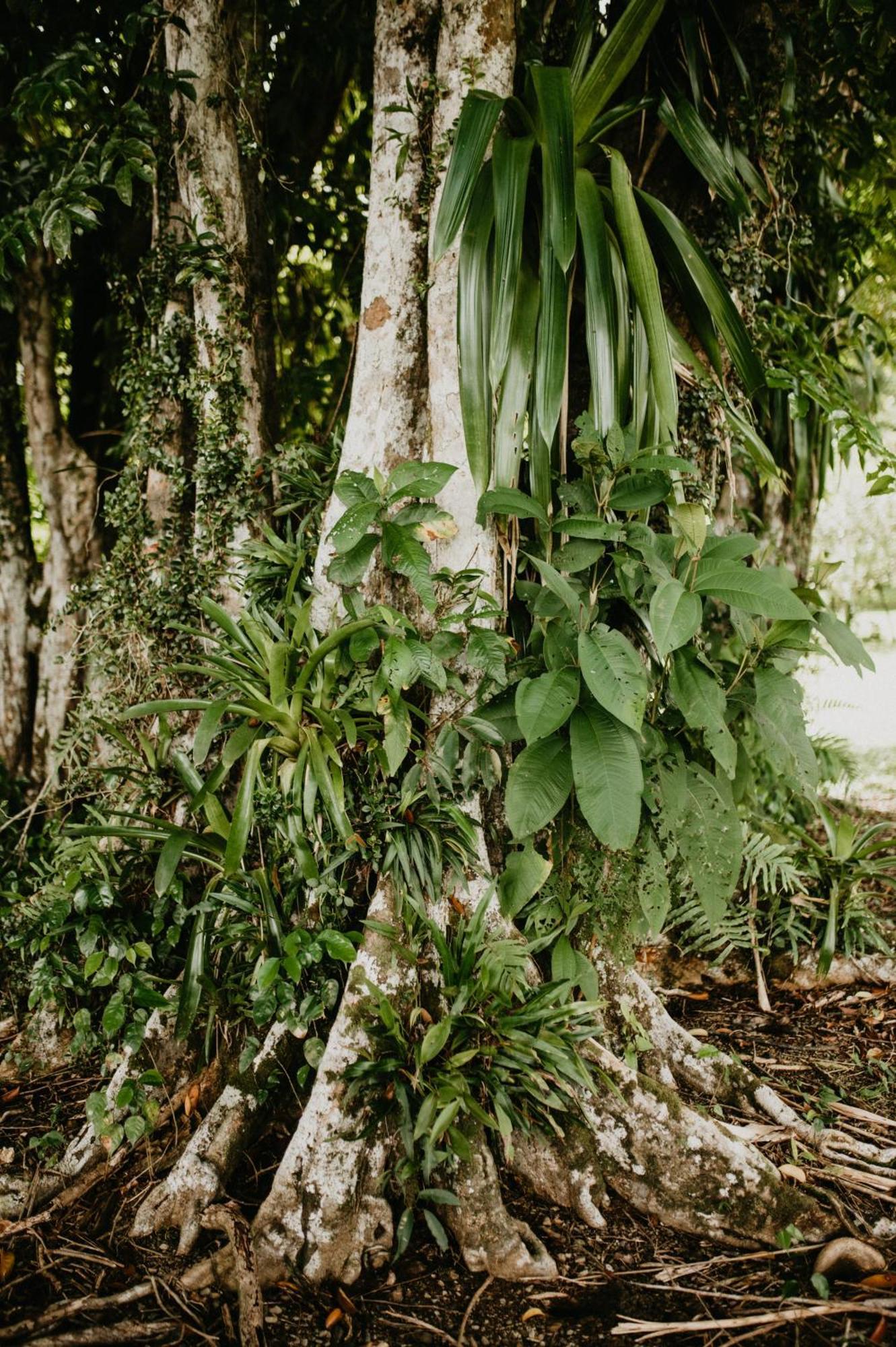 Saladero Ecolodge Esquinas エクステリア 写真