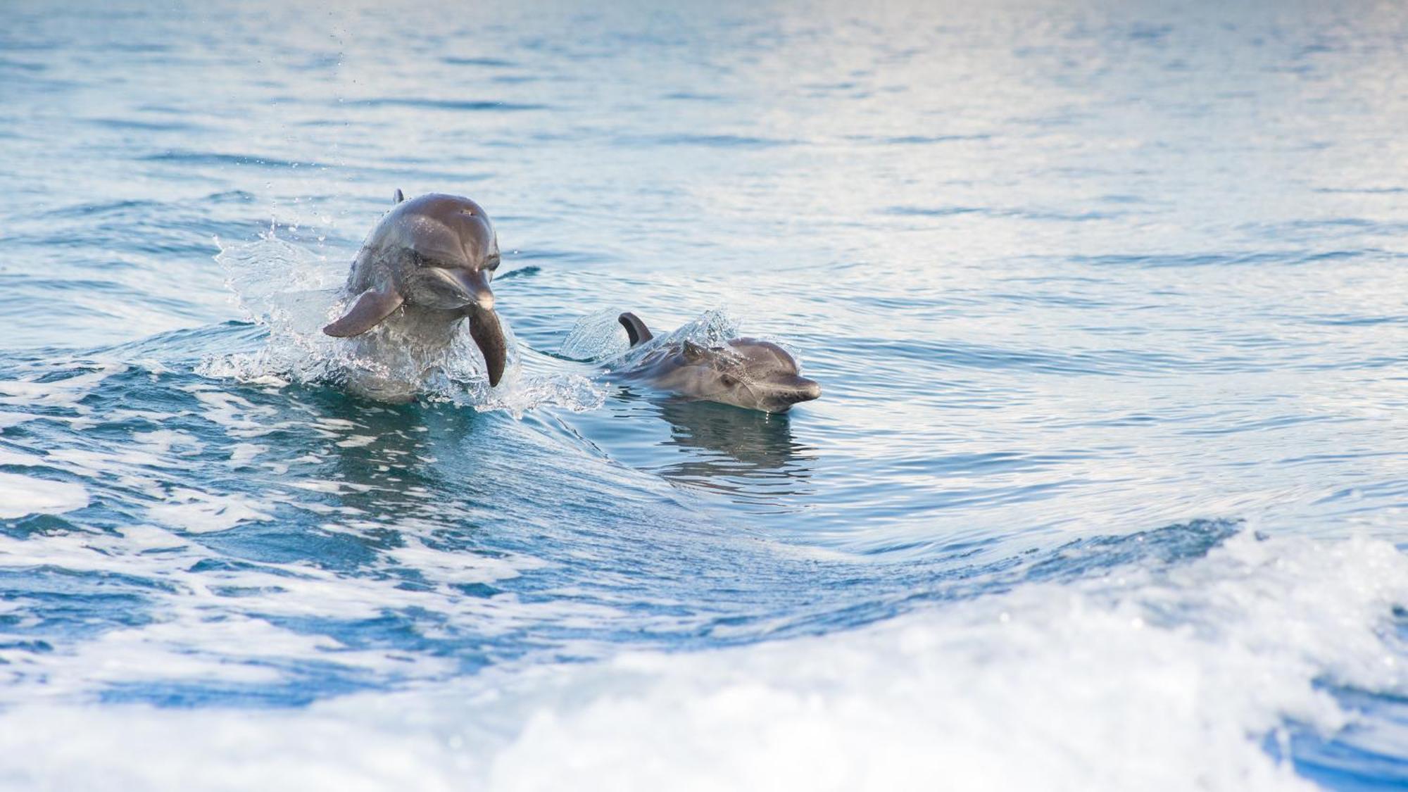 Saladero Ecolodge Esquinas エクステリア 写真